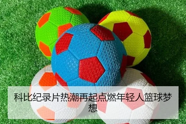 img_1792679300093_13_1_355.jpg